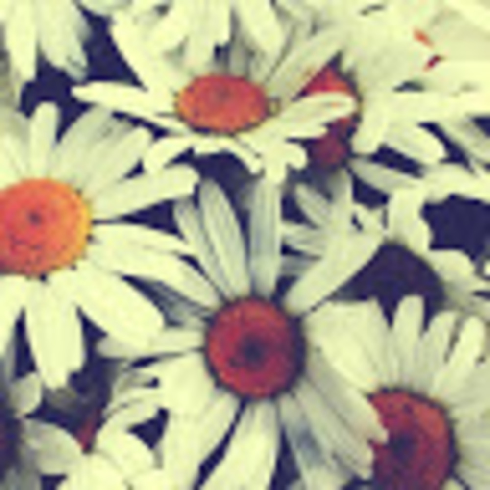 Meet your Posher, Cassidy